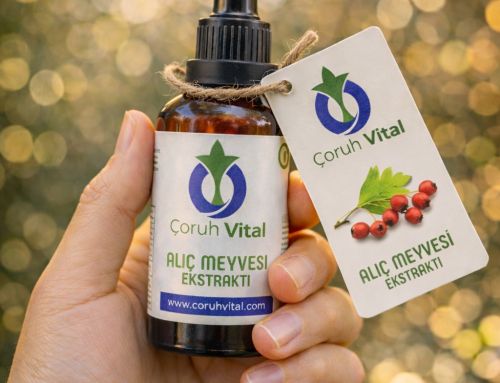 Alıç Özü Ne İşe Yarar ?