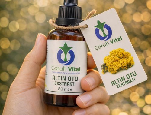 Altın Özü Ne İşe Yarar ?