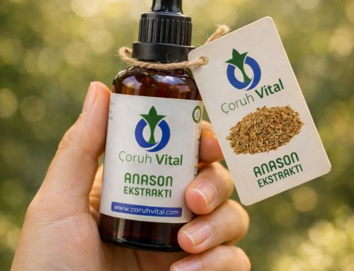 Anason Özü Ne İşe Yarar ?